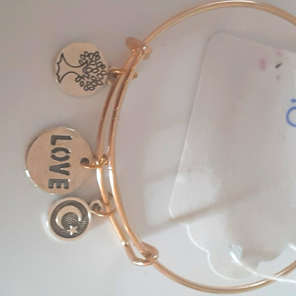 Adjustable bangle bracelet with charms